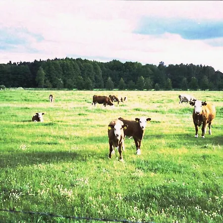 Σπίτι διακοπών Weitblick *