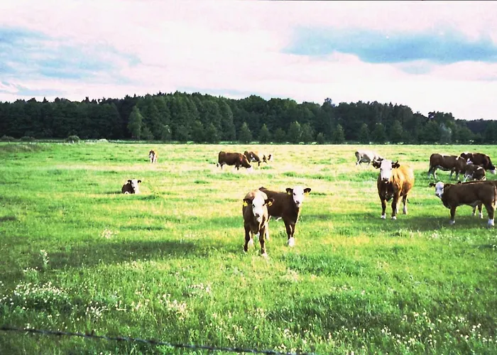 Semesterbostad Weitblick *